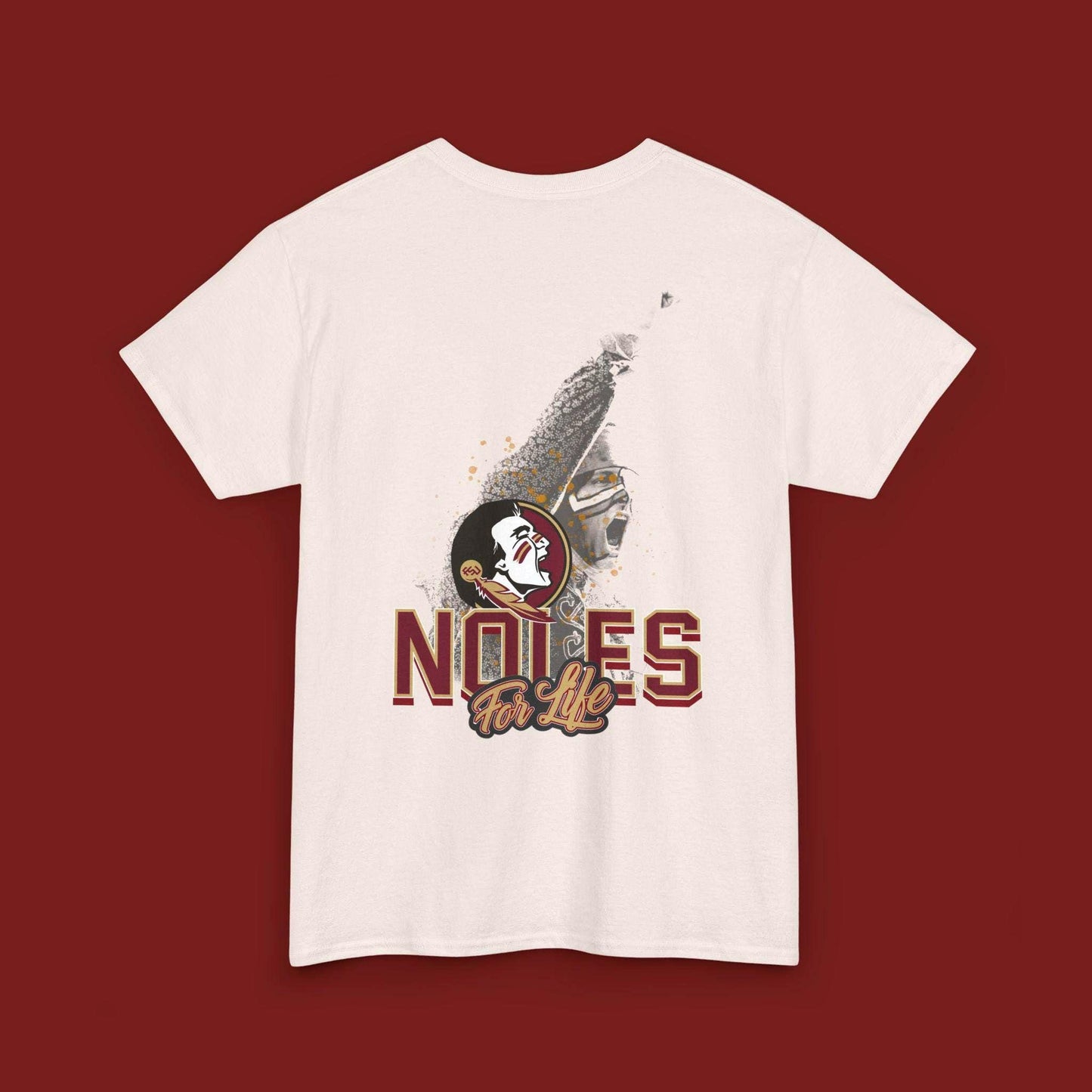 Cozy College Team Gear: Custom Florida State University Shirt